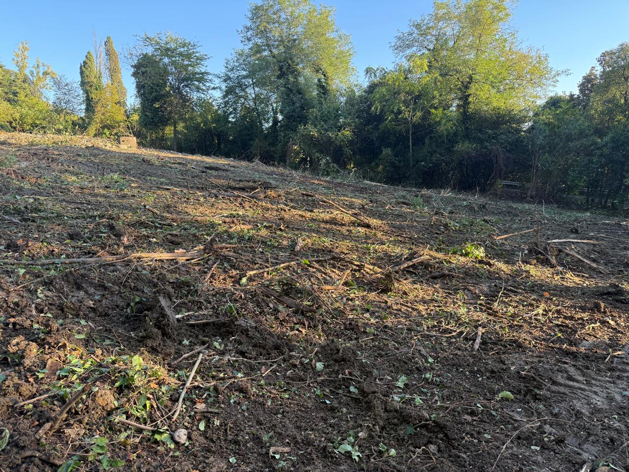 Объект по адресу Москва, Культурная ул. 