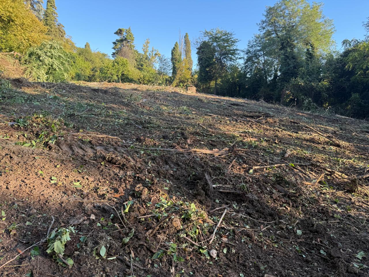 Объект по адресу Москва, Культурная ул. 