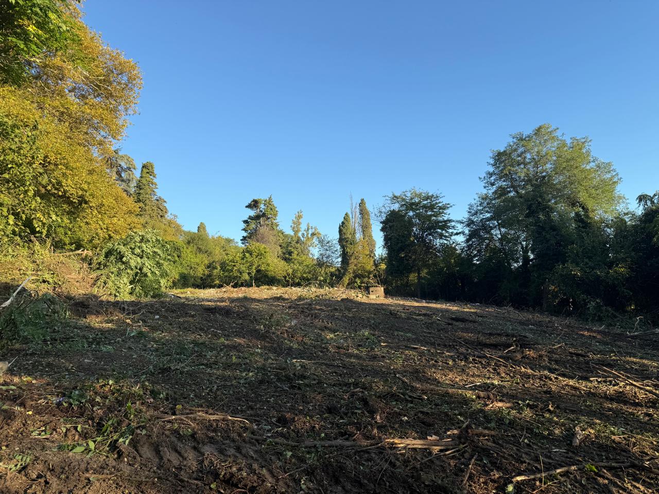 Объект по адресу Москва, Культурная ул. 