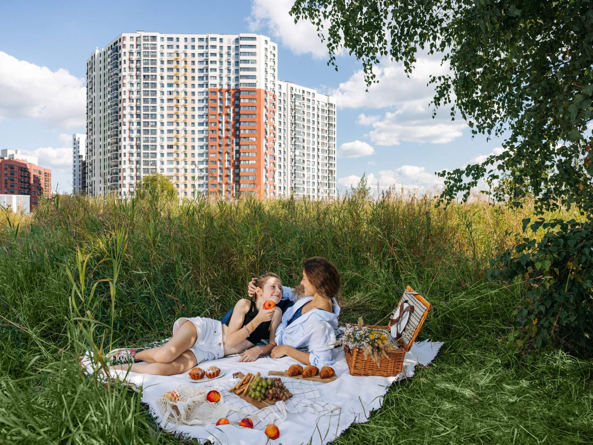 Объект по адресу Москва, Центральная улица, д.2 