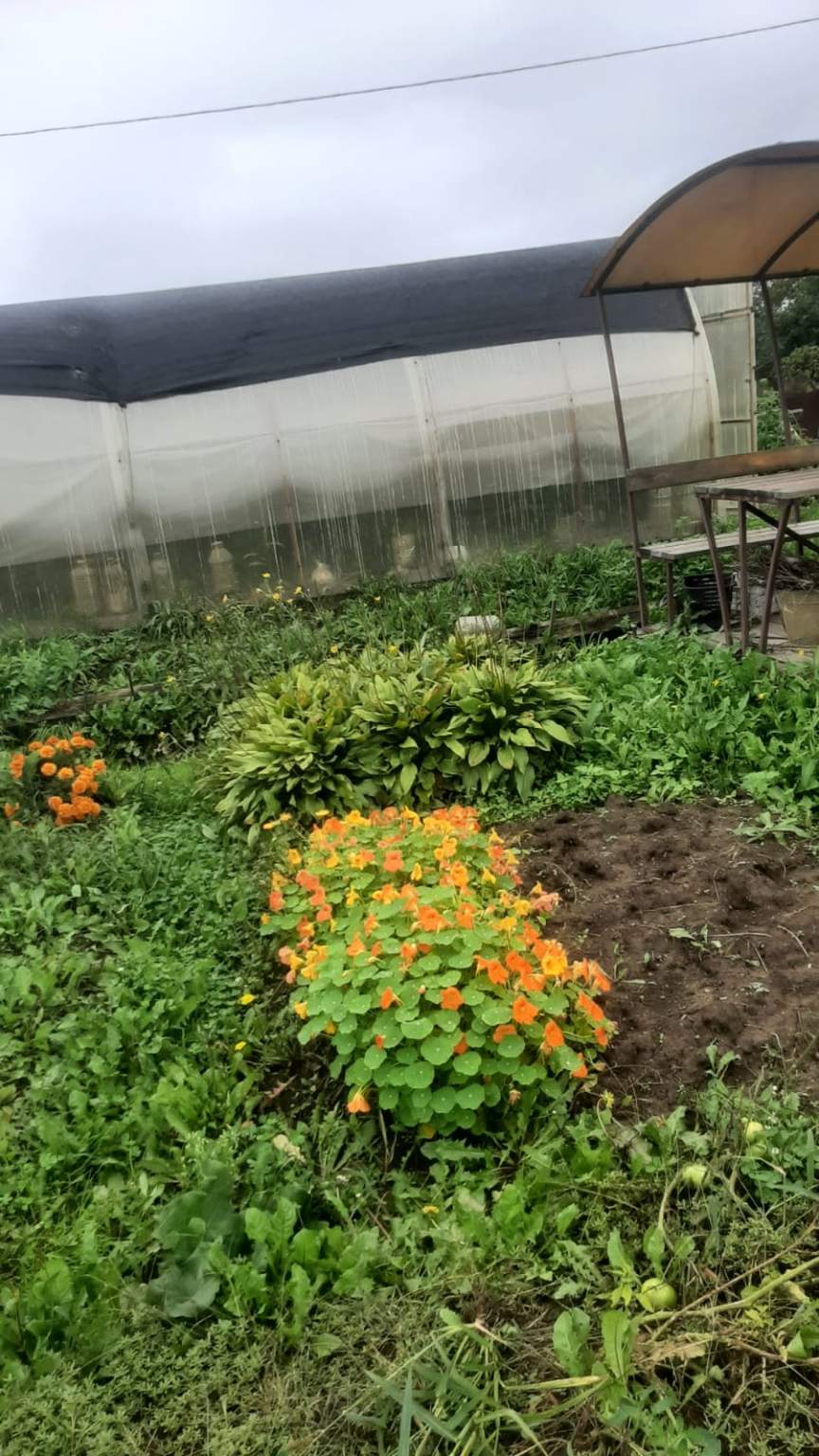 Объект по адресу Москва 