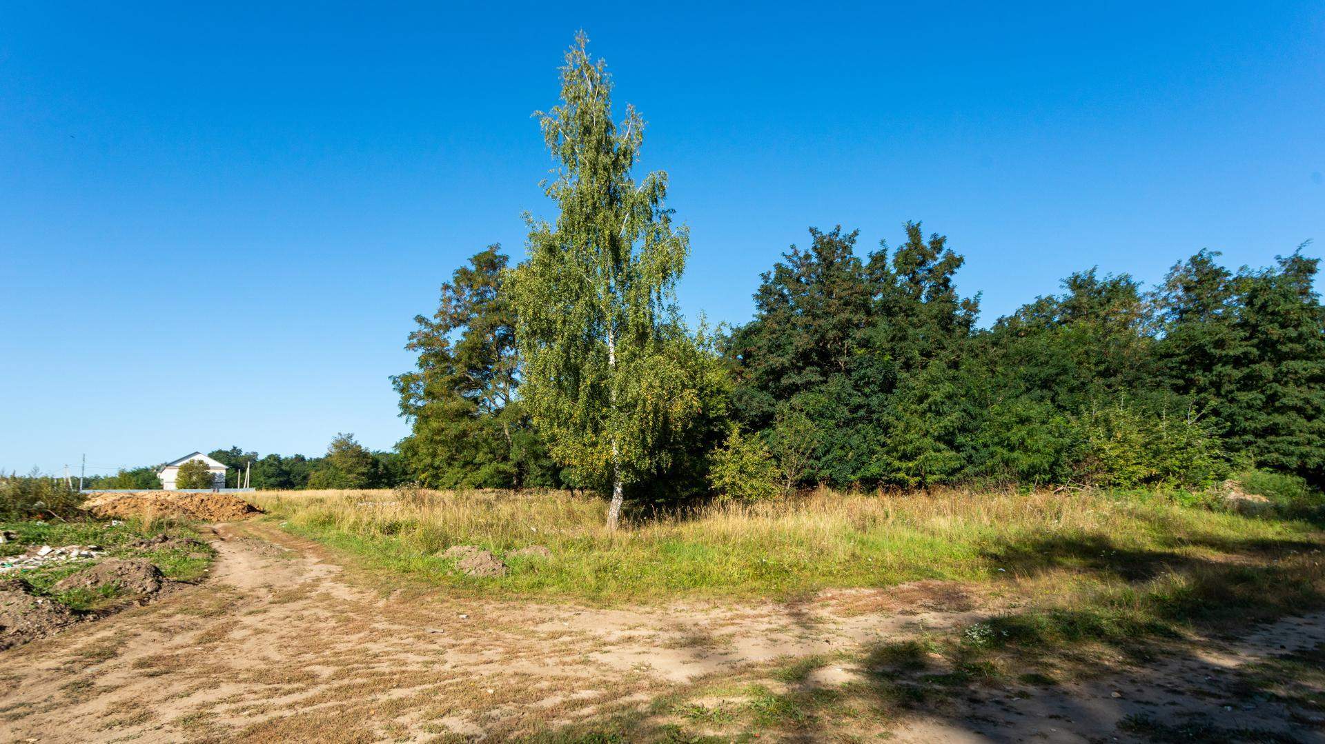 Объект по адресу Москва, 50 лет Октября улица 