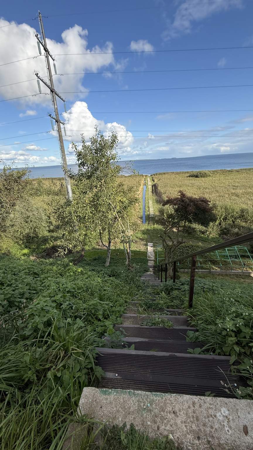 Объект по адресу Москва, Прибрежная улица 