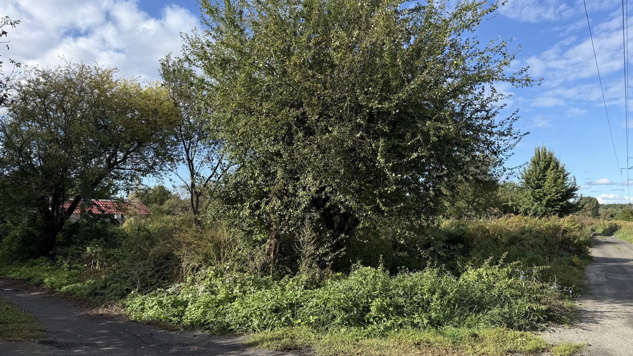 Объект по адресу Москва, Прибрежная улица 