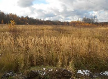 Объект по адресу Москва, Железнодорожник (Новохаритоновское с/п) садовое товарищество 