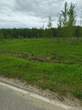 Объект по адресу Москва, Железнодорожник (Новохаритоновское с/п) садовое товарищество 