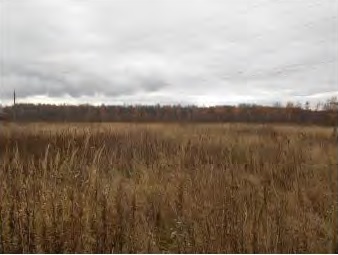 Объект по адресу Москва, Железнодорожник (Новохаритоновское с/п) садовое товарищество 
