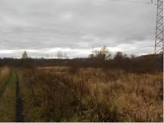 Объект по адресу Москва, Железнодорожник (Новохаритоновское с/п) садовое товарищество 