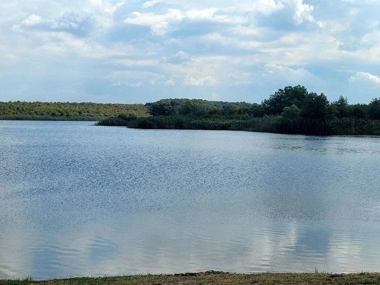 Объект по адресу Москва, Центральная улица 