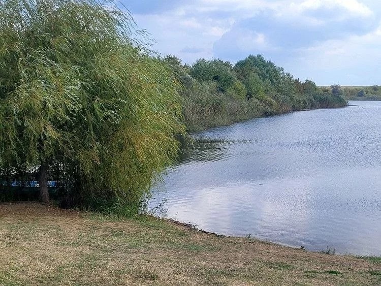 Объект по адресу Москва, Центральная улица 