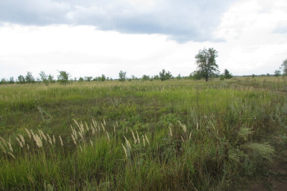 Объект по адресу Самарская обл, Южное ш