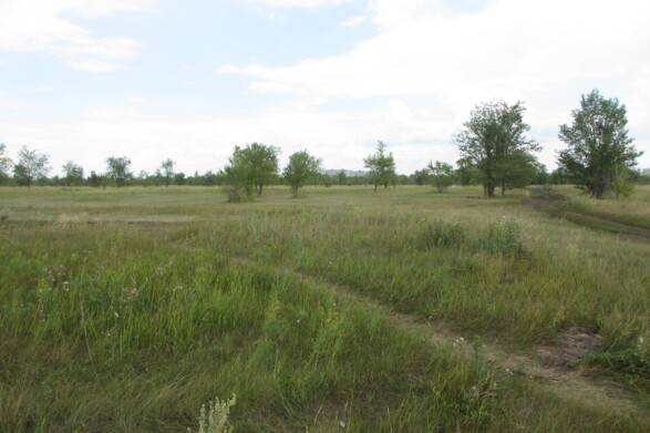 Объект по адресу Самарская обл, Южное ш