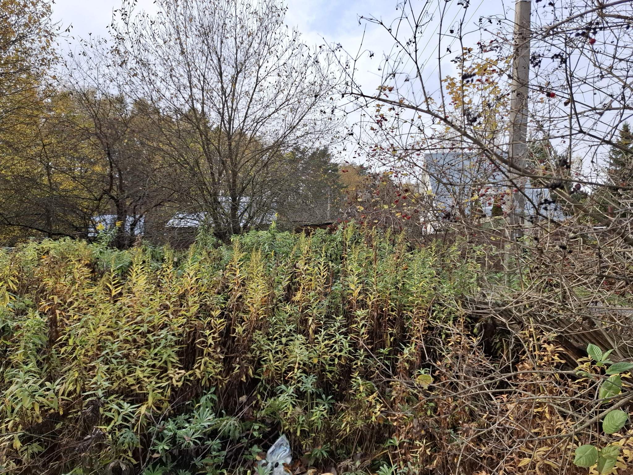 Объект по адресу Москва, Полевая улица 