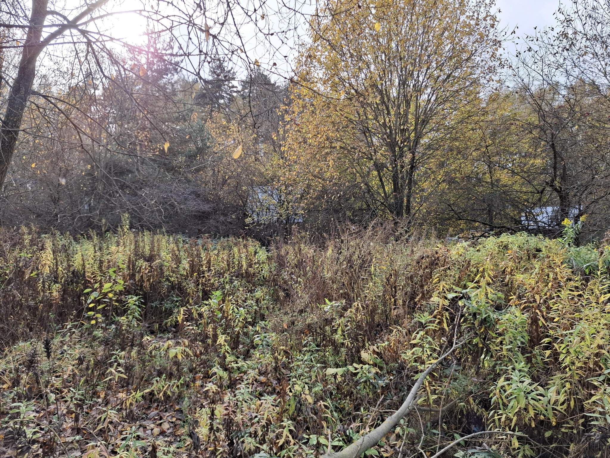 Объект по адресу Москва, Полевая улица 