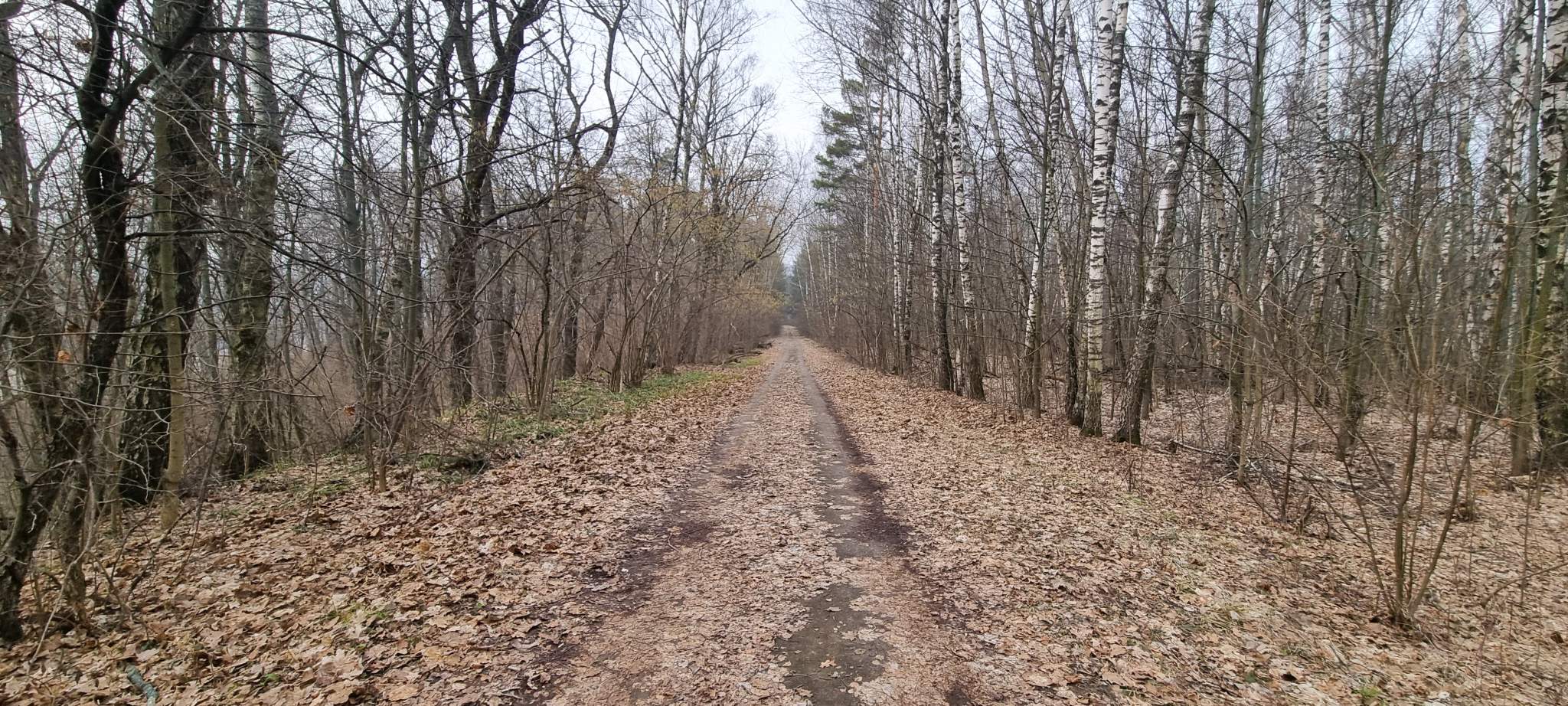 Объект по адресу Москва, базы отдыха Лесные дали территория 
