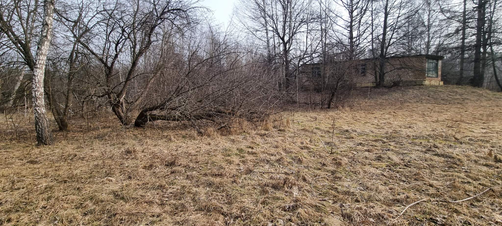 Объект по адресу Москва, базы отдыха Лесные дали территория 