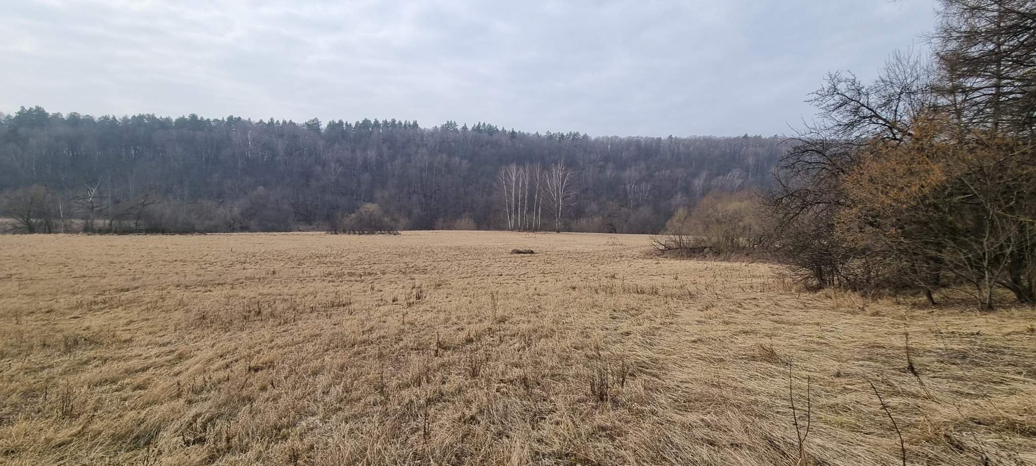 Объект по адресу Москва, базы отдыха Лесные дали территория 