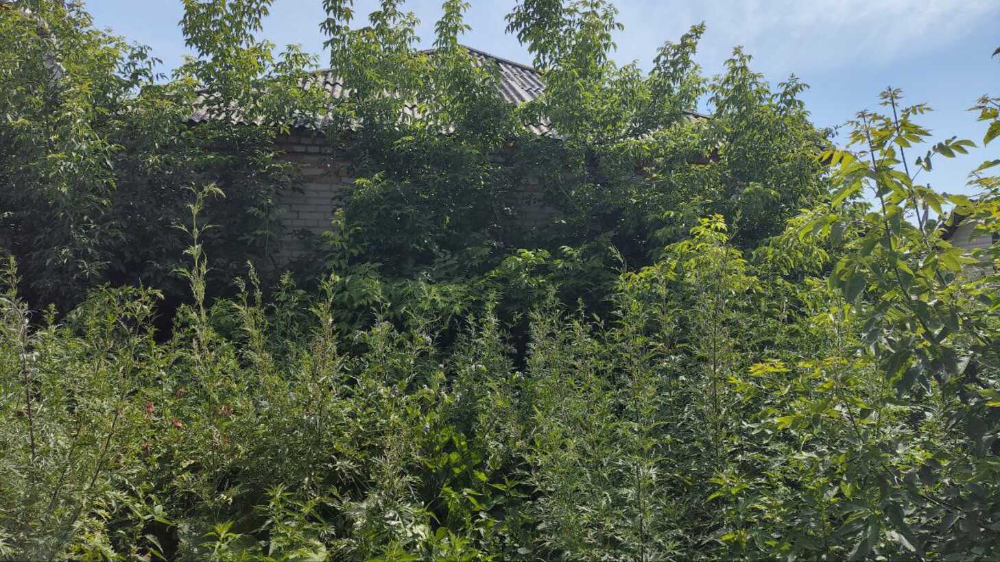 Объект по адресу Москва, Советская улица, д.36 