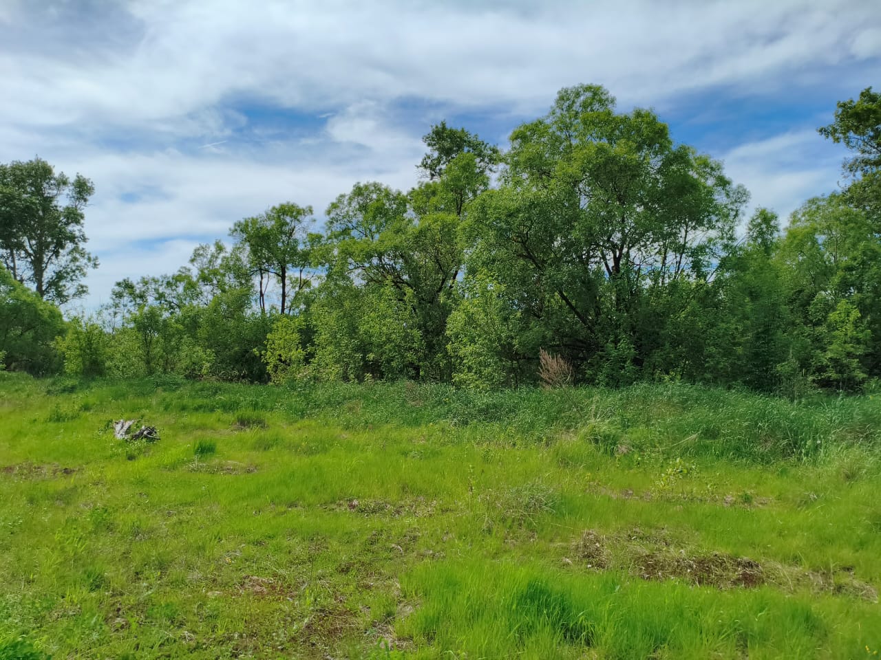 Объект по адресу Москва 