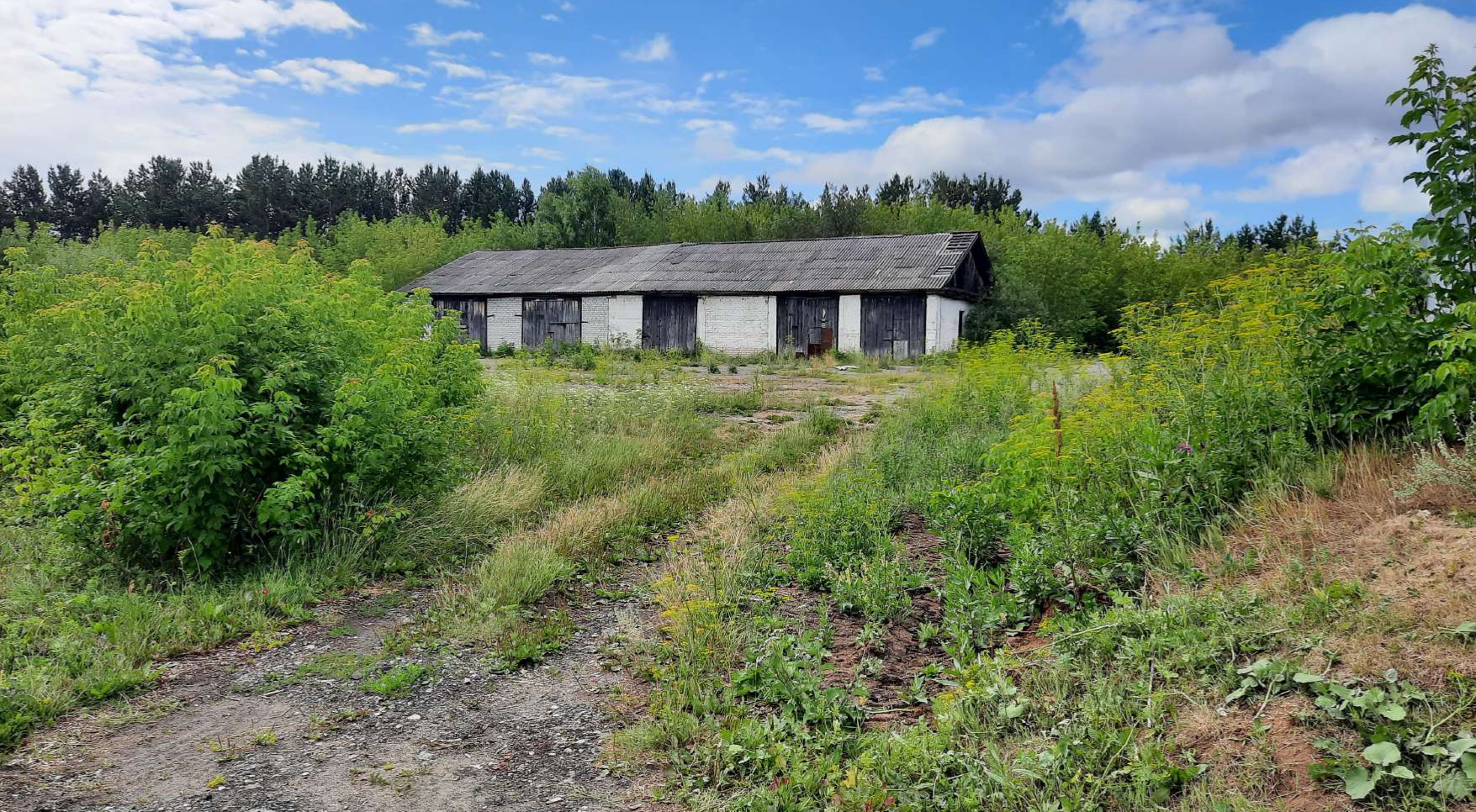 Объект по адресу Тюменская обл, Юргинский р-н, Юргинское с, Королева ул