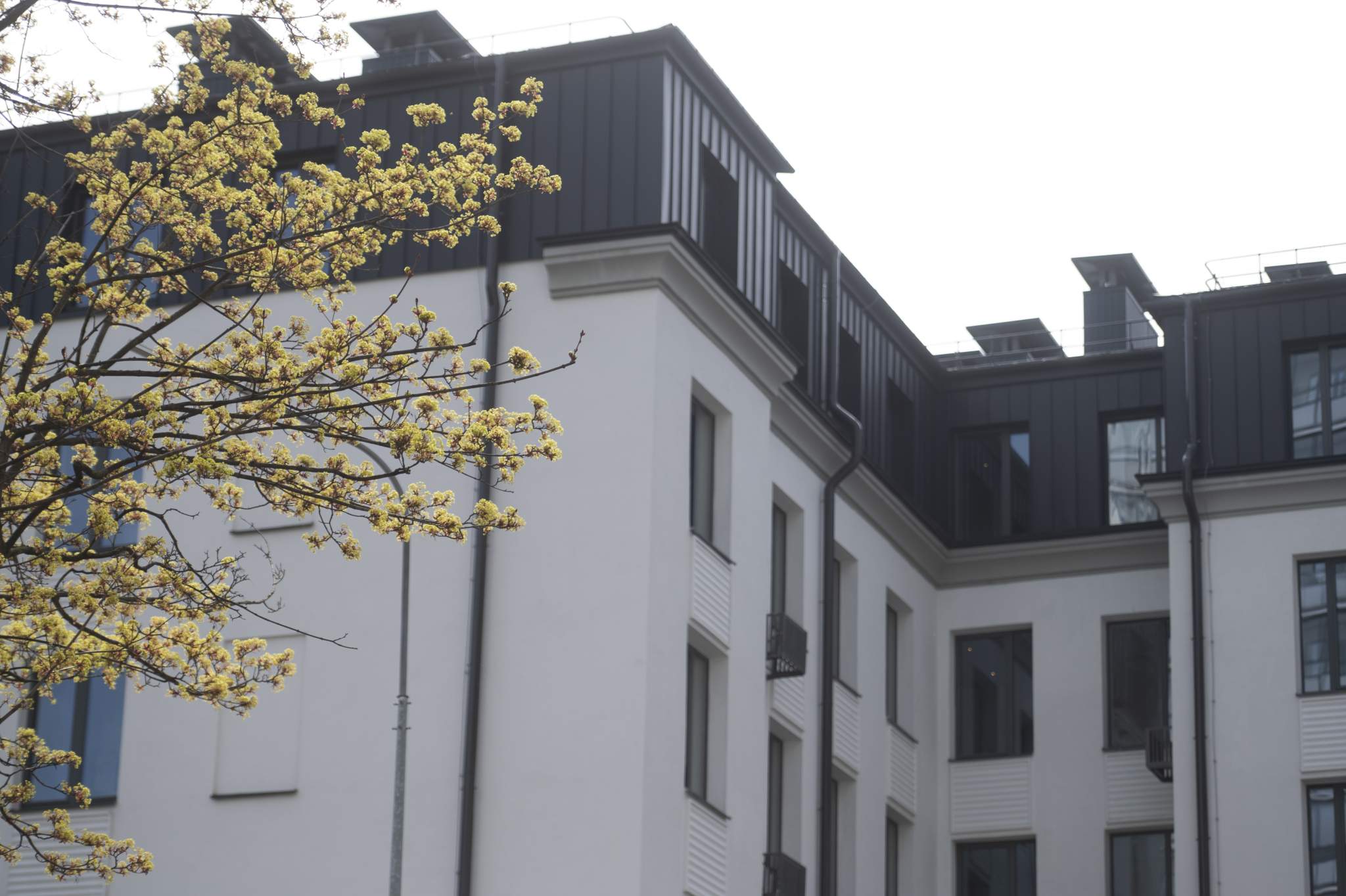 Объект по адресу Санкт-Петербург, Зеленогорская улица, д.3 