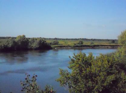 Объект по адресу Рязанская обл, Шиловский р-н, Шилово рп, Рязанская ул