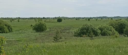 Объект по адресу Рязанская обл, Шиловский р-н, Шилово рп, Рязанская ул