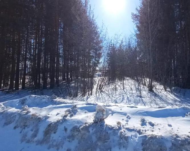 Объект по адресу Москва, Промышленная улица 