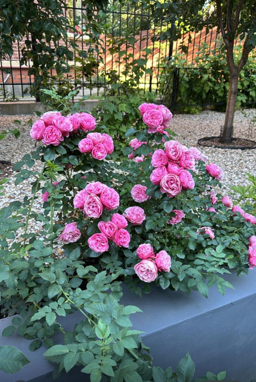 Объект по адресу Москва, д.196 