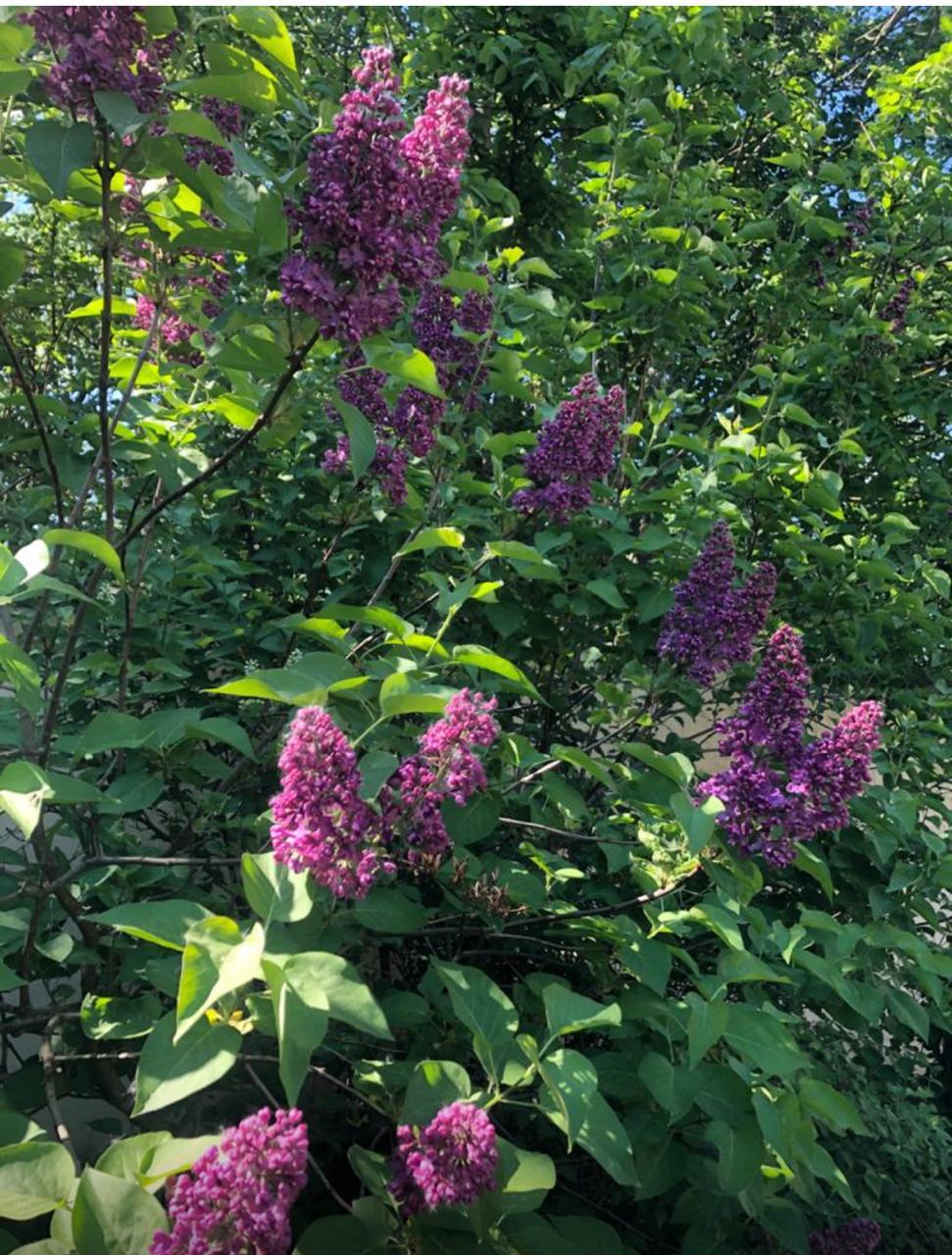 Объект по адресу Москва, д.196 