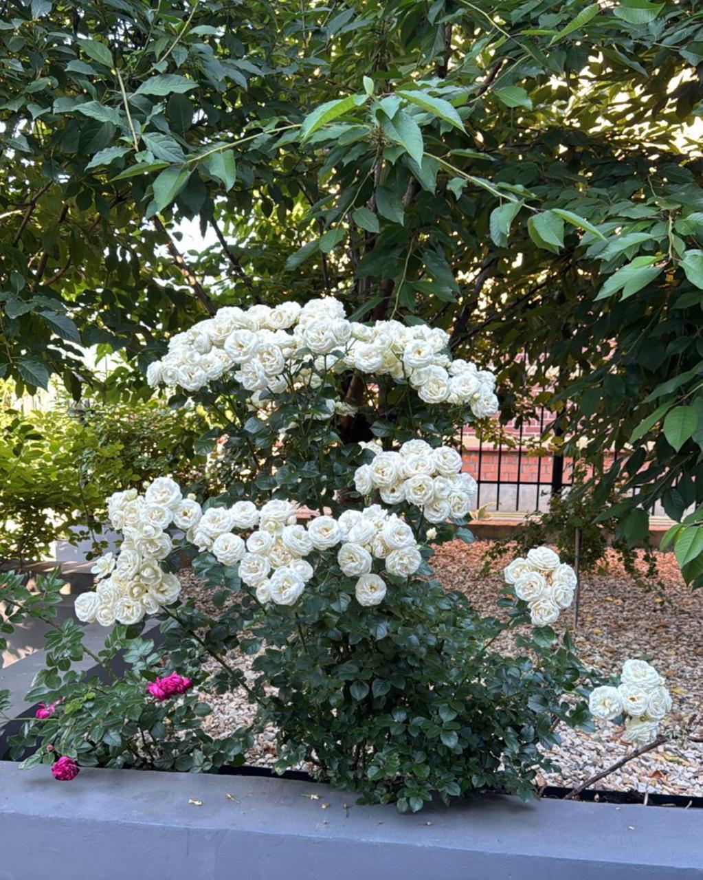 Объект по адресу Москва, д.196 