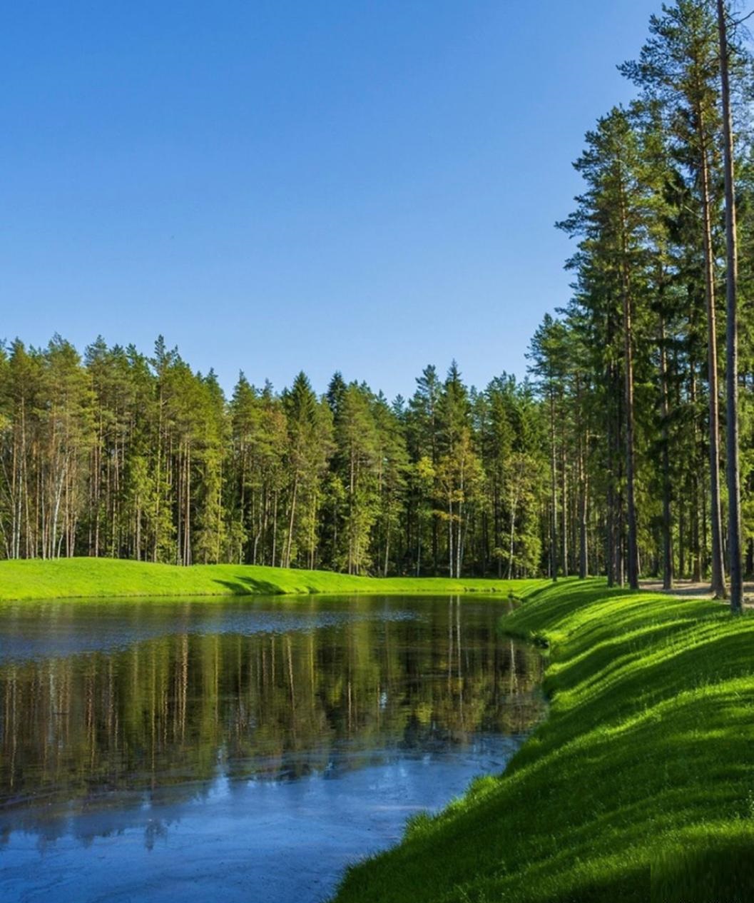 Объект по адресу Ленинградская обл, Всеволожский р-н, Мистолово д, Парковая ул, д. 8