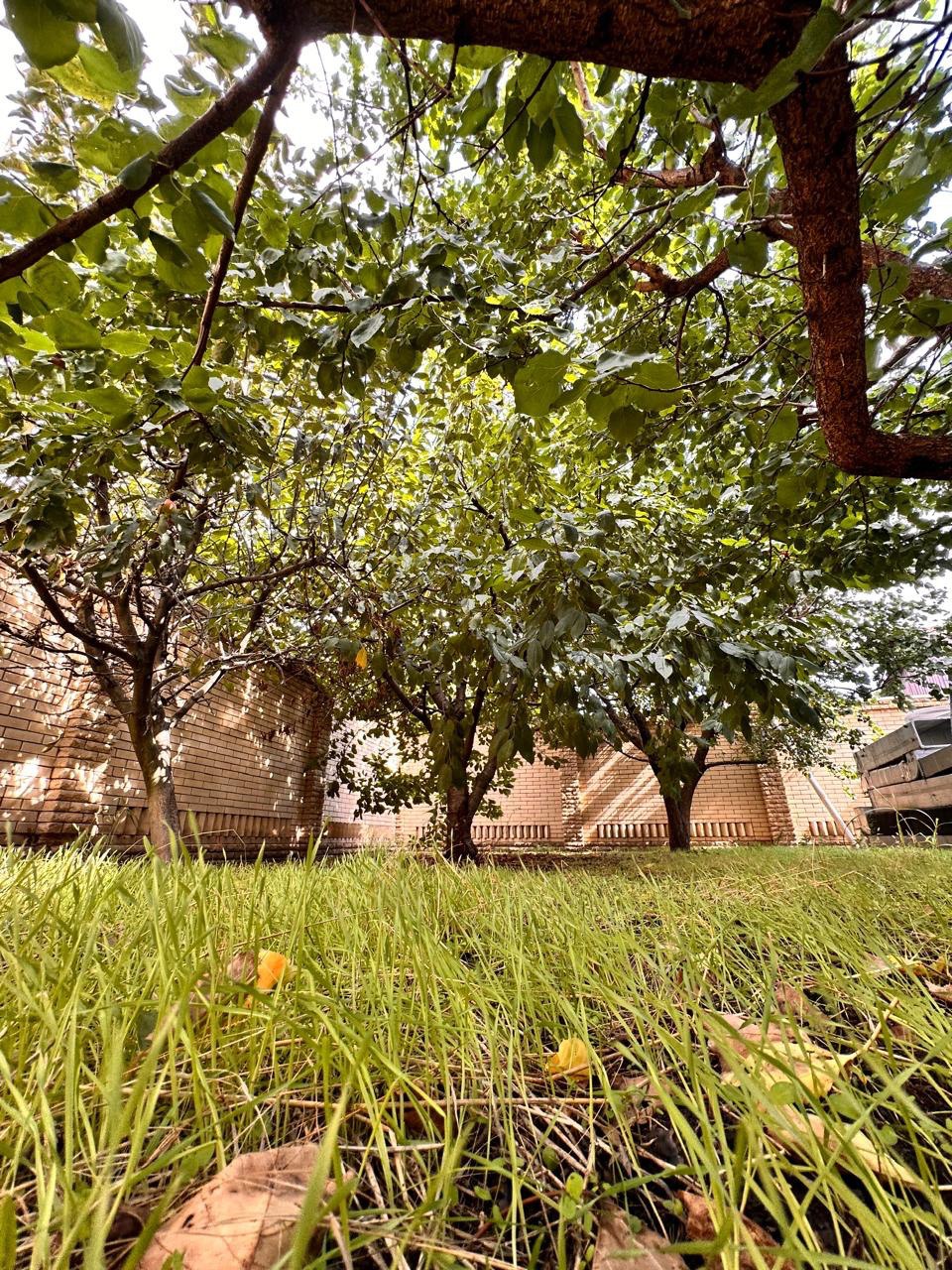 Объект по адресу Москва, Возрождения улица, д.19 