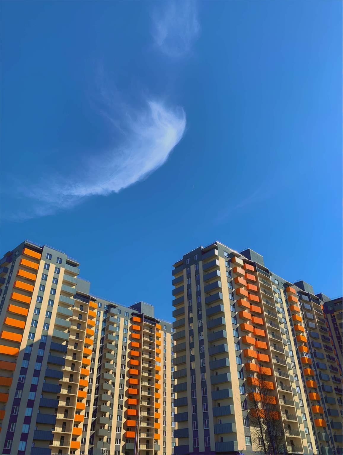 Фото квартиры по адресу Москва, Западный проезд, д.10/1к2 