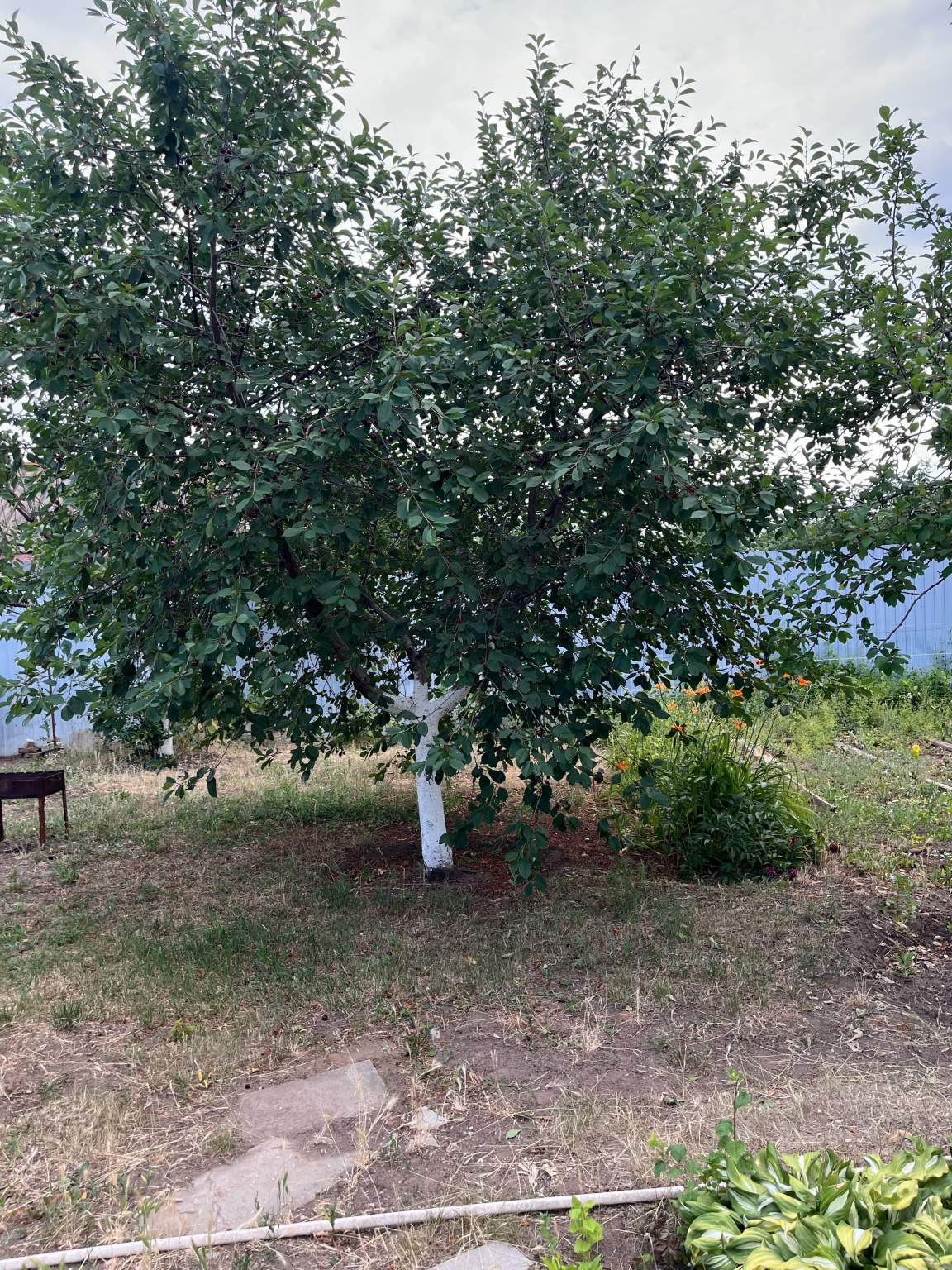 Объект по адресу Волгоградская обл, Тракторозаводский р-н, Дзержинец тер. СНТ, 101-я Винновская ул