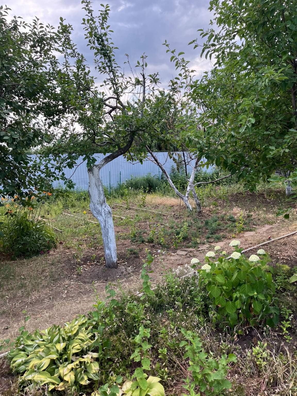 Объект по адресу Волгоградская обл, Тракторозаводский р-н, Дзержинец тер. СНТ, 101-я Винновская ул