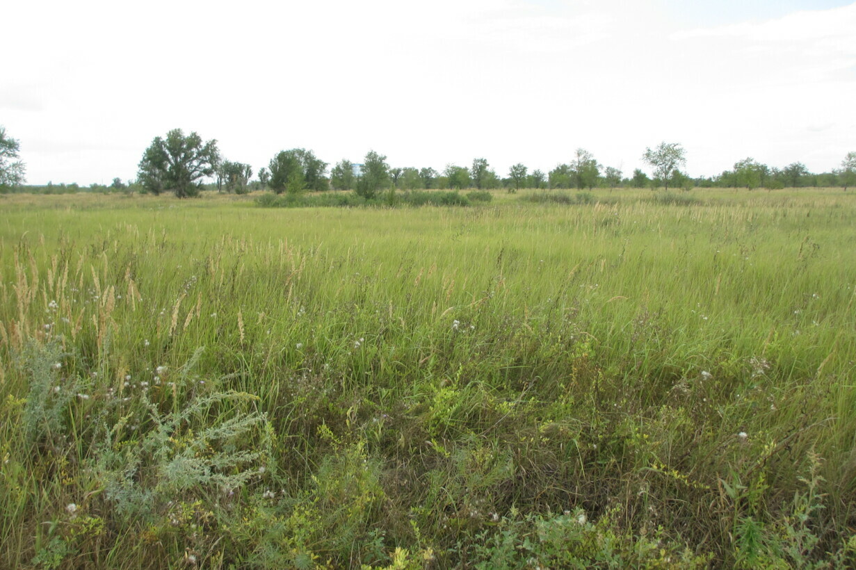Объект по адресу Самарская обл, Южное ш