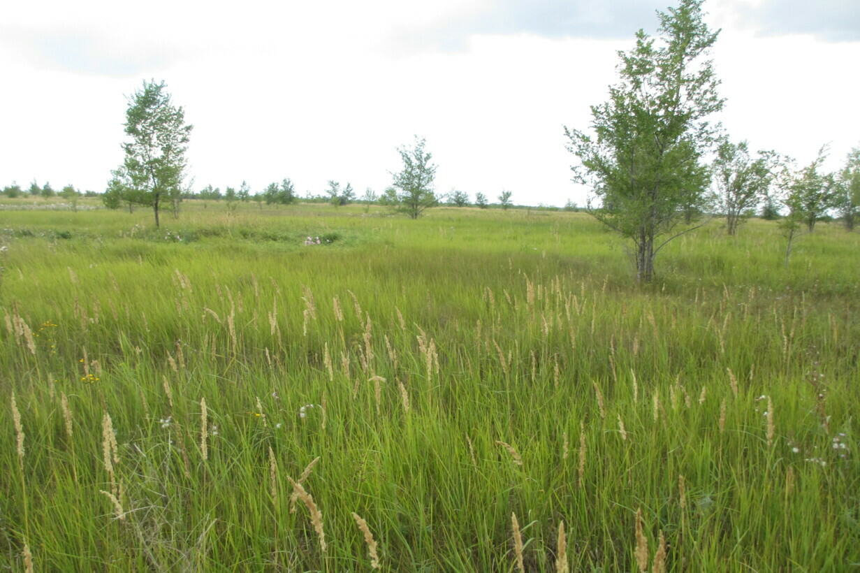 Объект по адресу Самарская обл, Южное ш