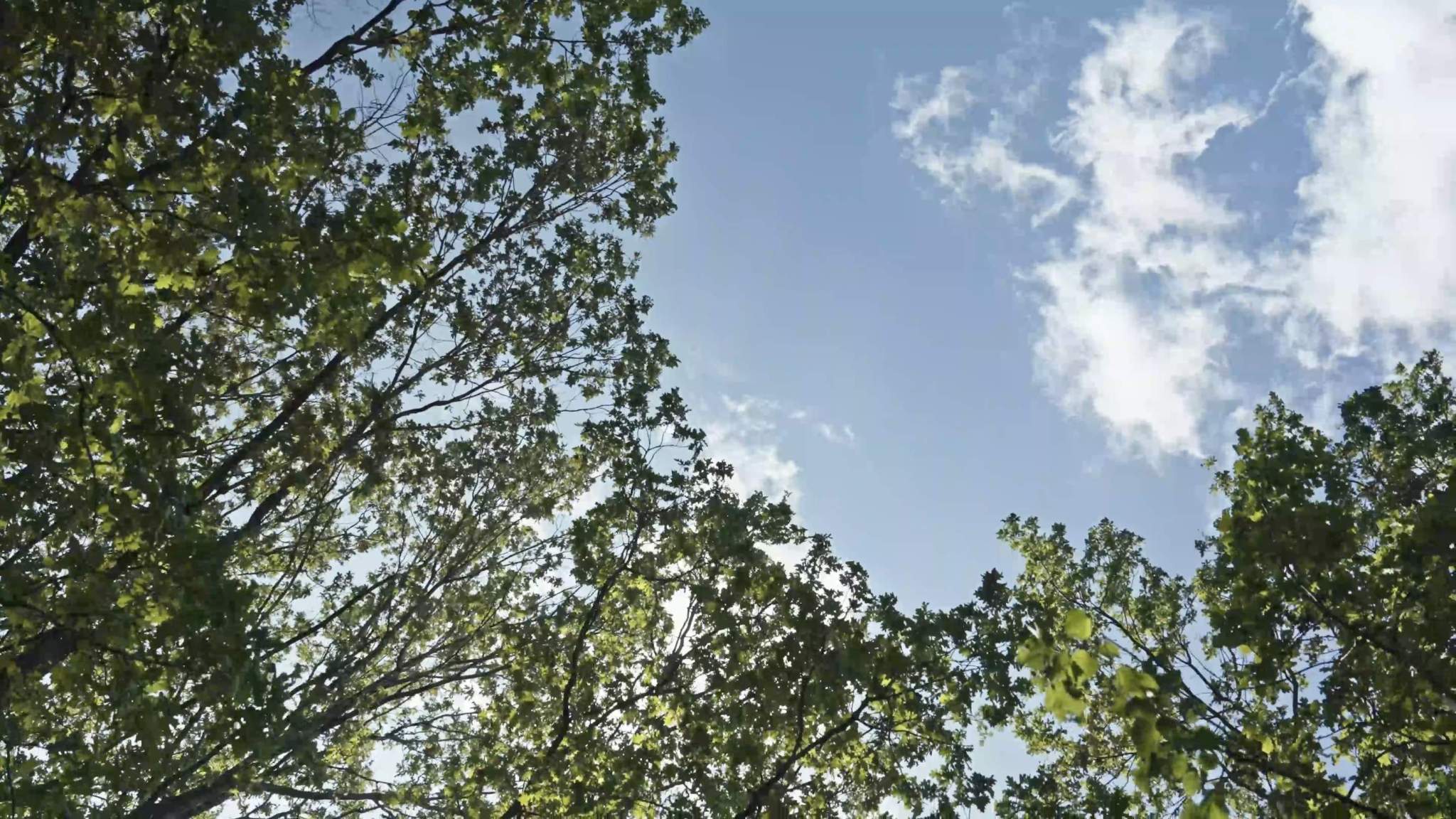 Объект по адресу Москва г, Монтажная ул, влд. 8/24