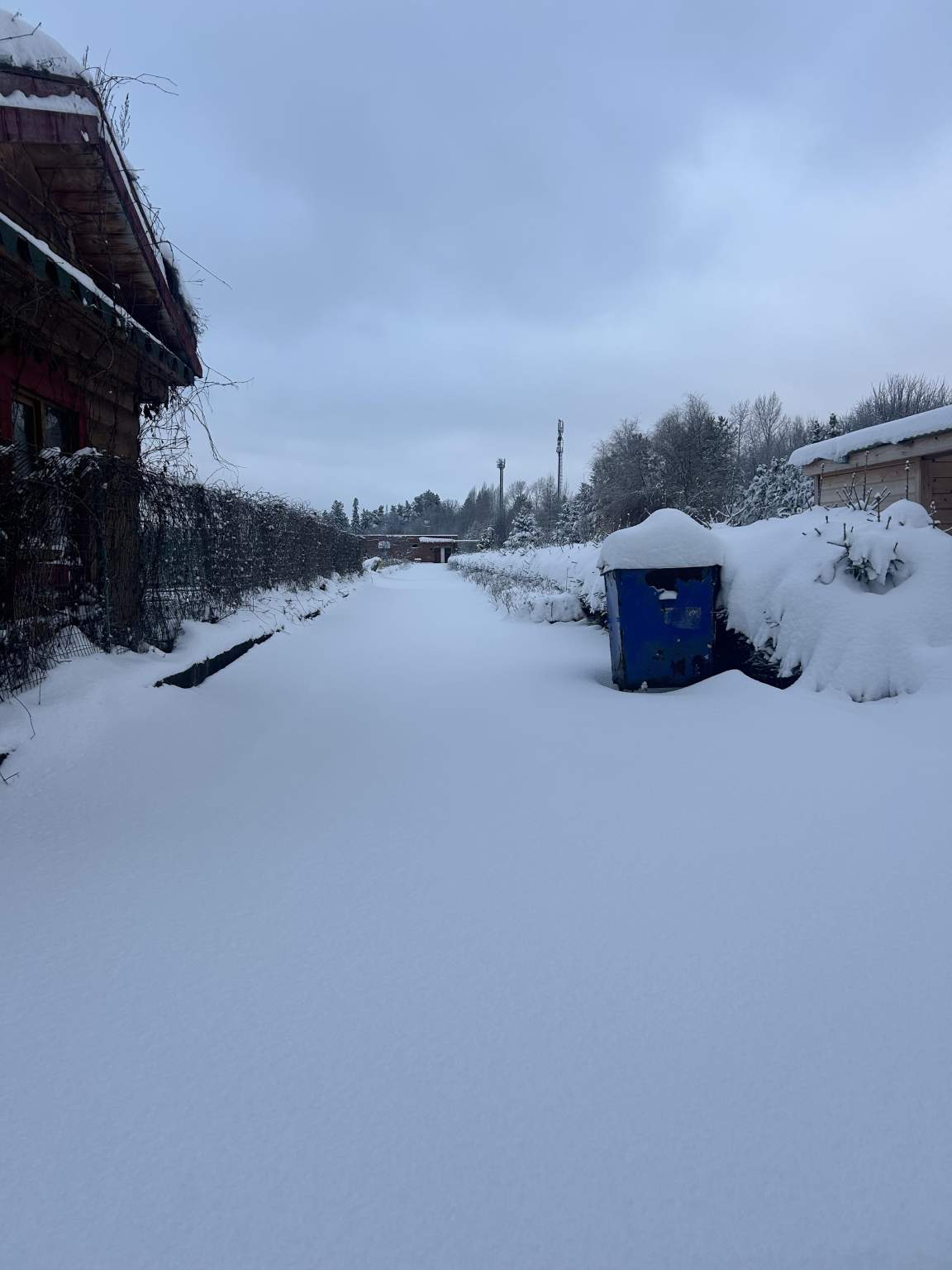 Объект по адресу Москва, Совхоз Медведево территория, д.51 