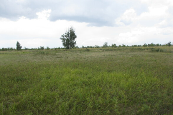 Объект по адресу Самарская обл, Южное ш