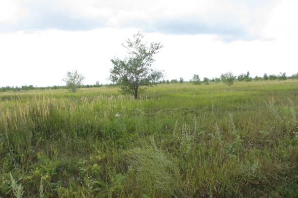 Объект по адресу Самарская обл, Южное ш
