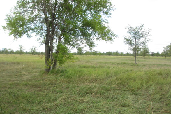 Объект по адресу Самарская обл, Южное ш