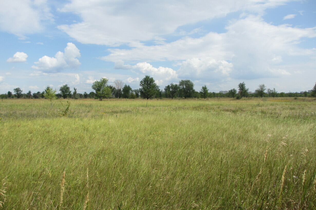 Объект по адресу Самарская обл, Южное ш