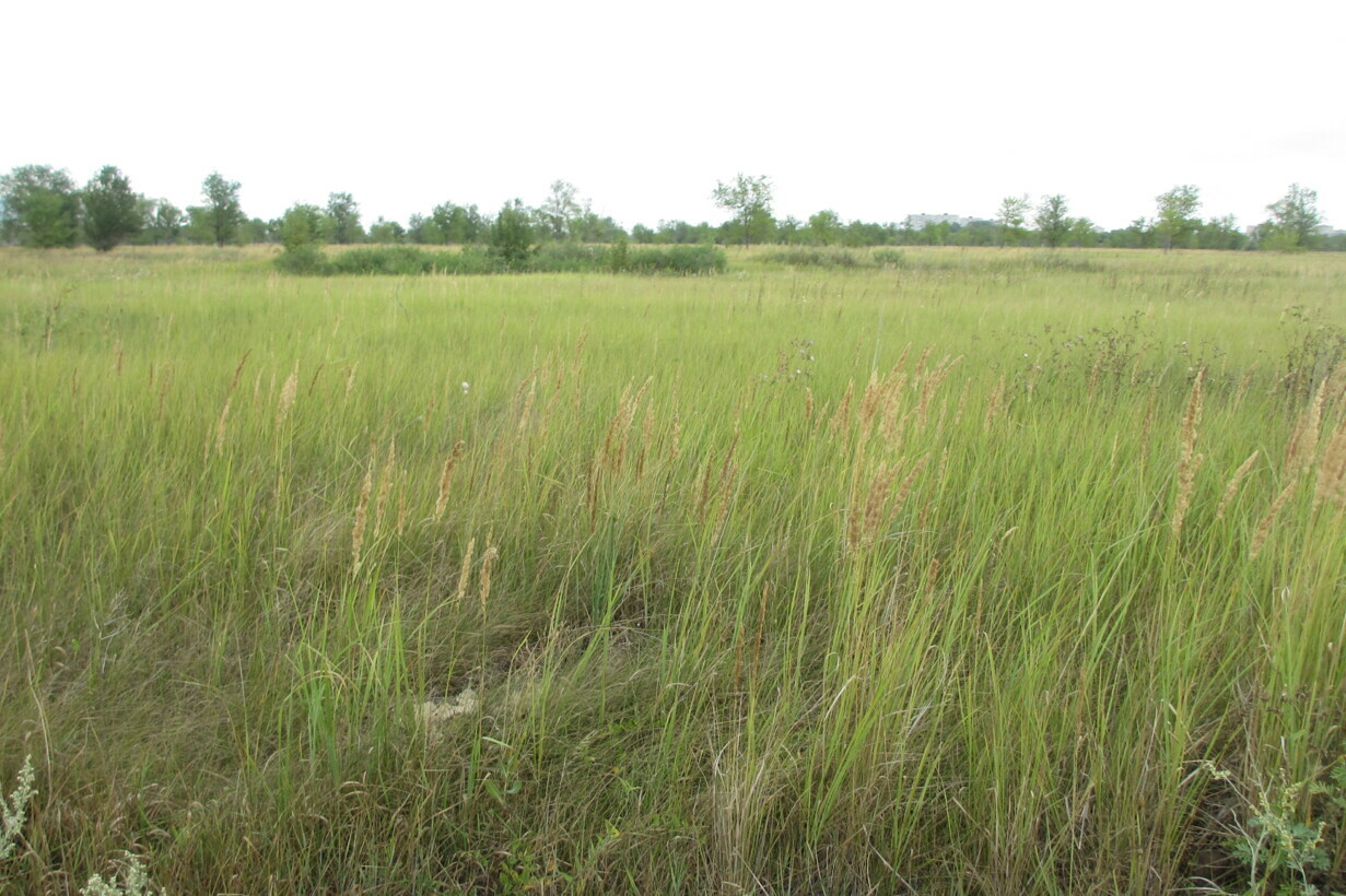 Объект по адресу Самарская обл, Южное ш