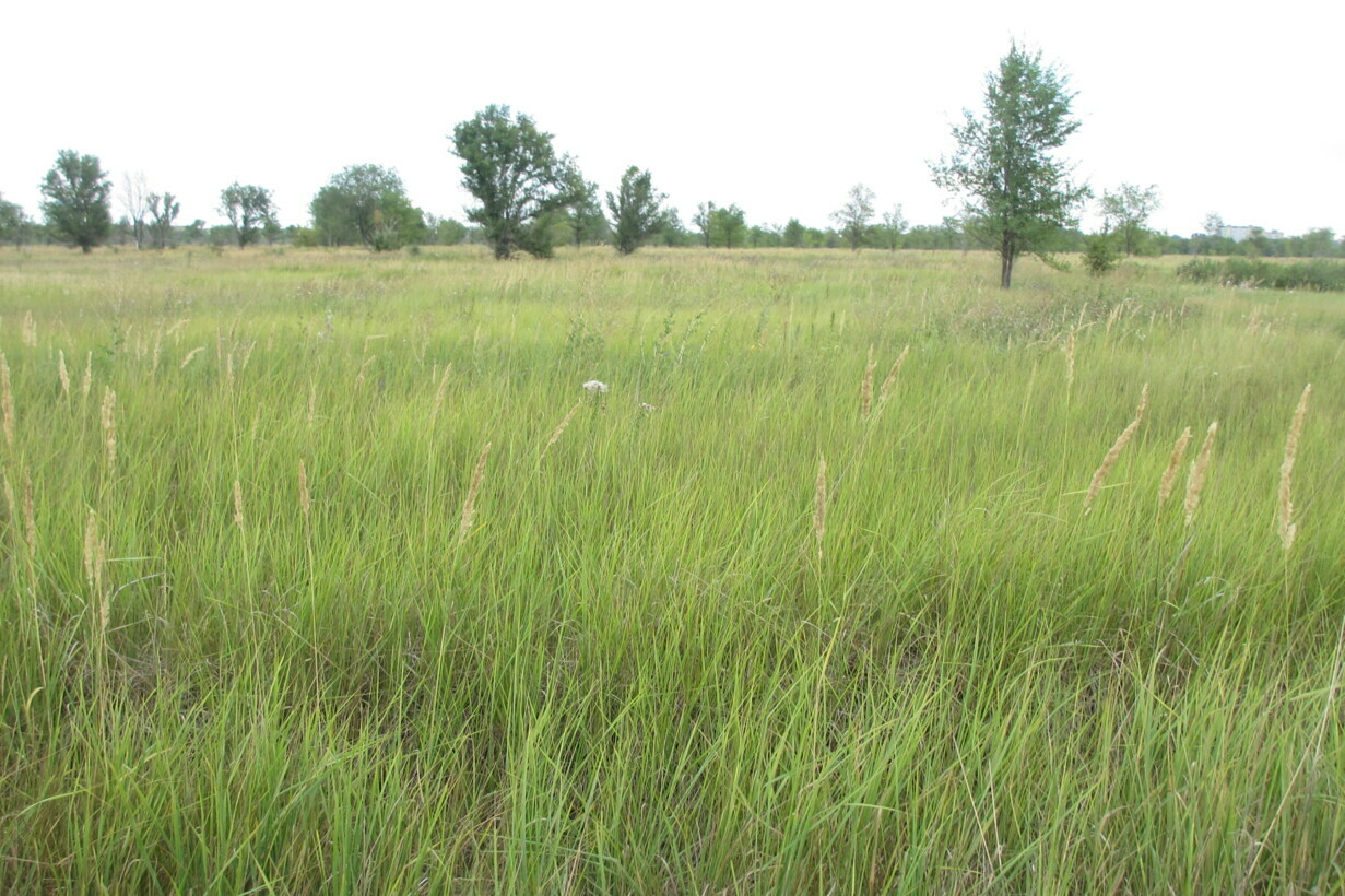 Объект по адресу Самарская обл, Южное ш