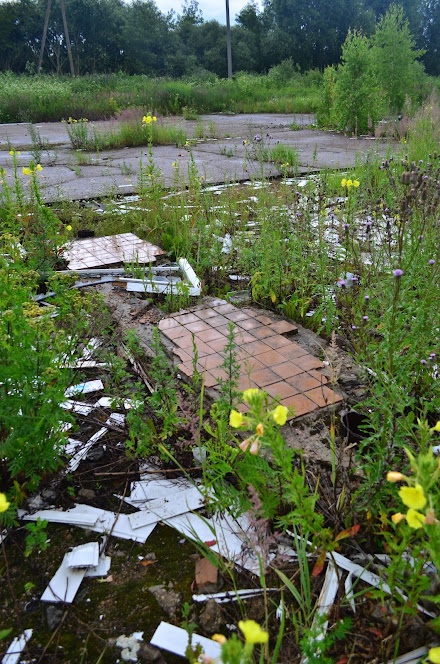 Объект по адресу Смоленская обл, Смоленский р-н, Катынь с, Витебское шоссе ул, д. 10А