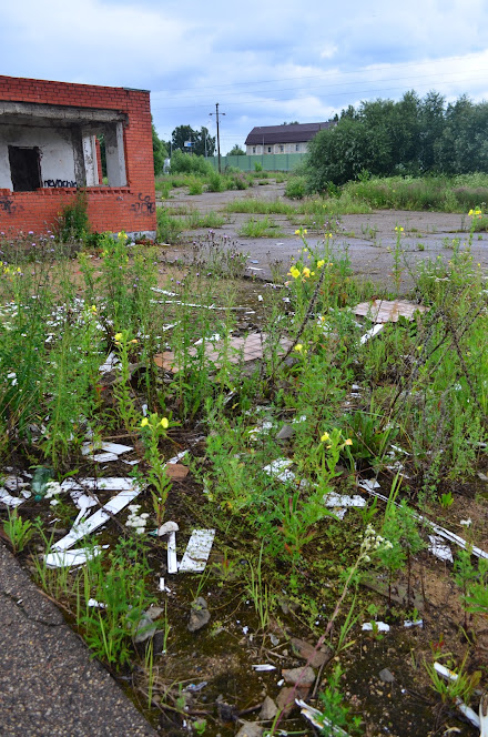 Объект по адресу Смоленская обл, Смоленский р-н, Катынь с, Витебское шоссе ул, д. 10А