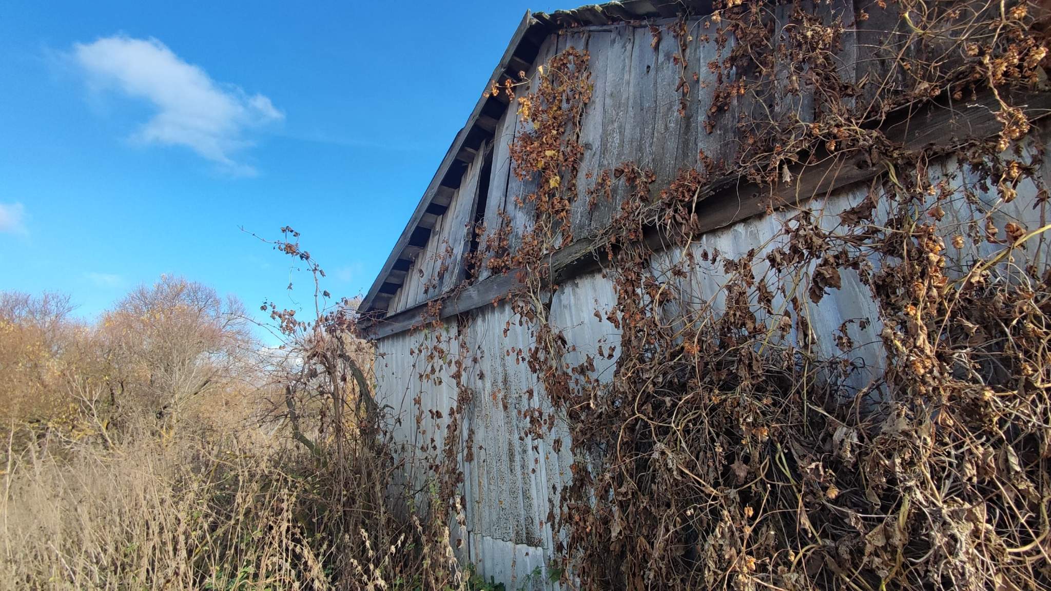 Объект по адресу Москва, Буденного улица, д.23 