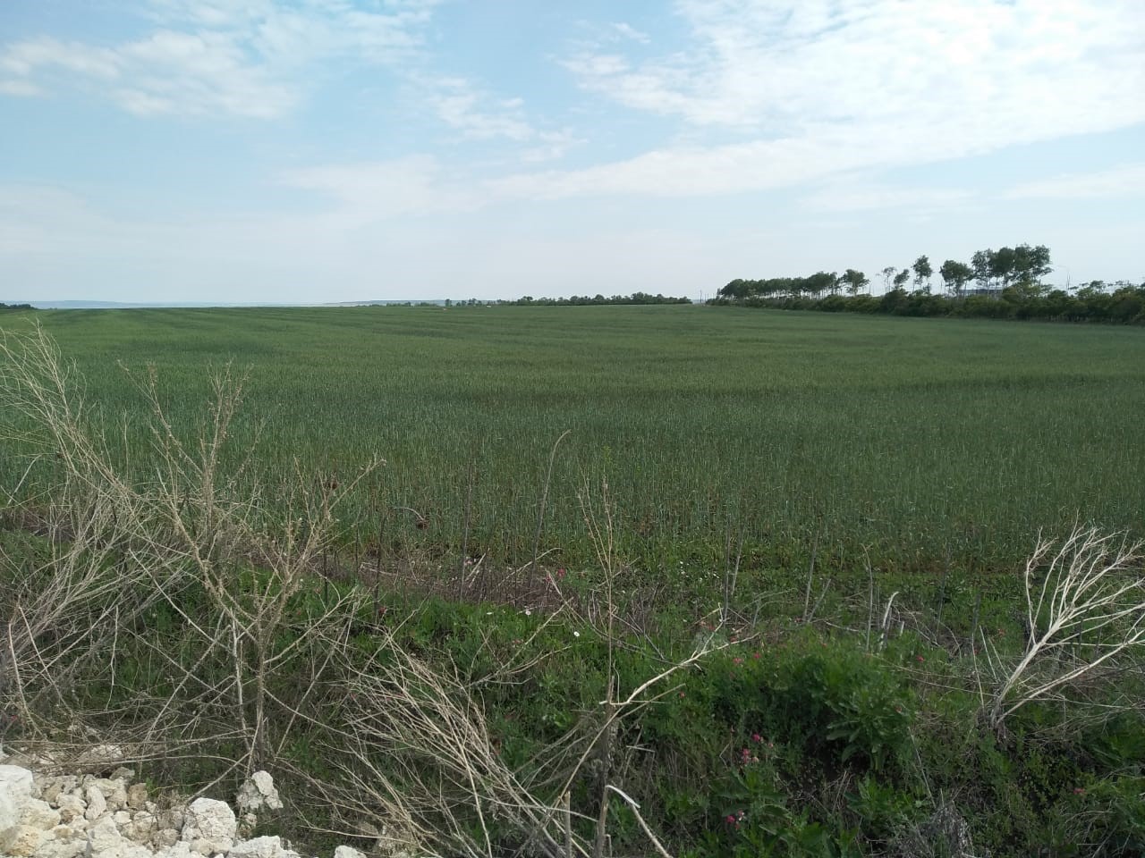 Объект по адресу Москва, Светлодольская улица 